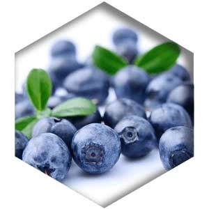 bilberry