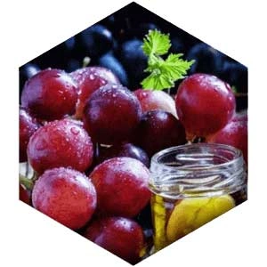 grape-seed-extract