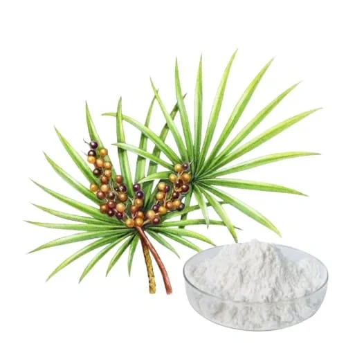saw-palmetto-extract