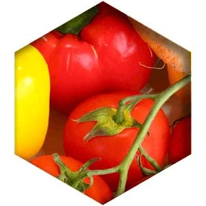 vitamin-a-retinyl-palmitate